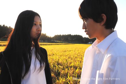 光を追いかけて